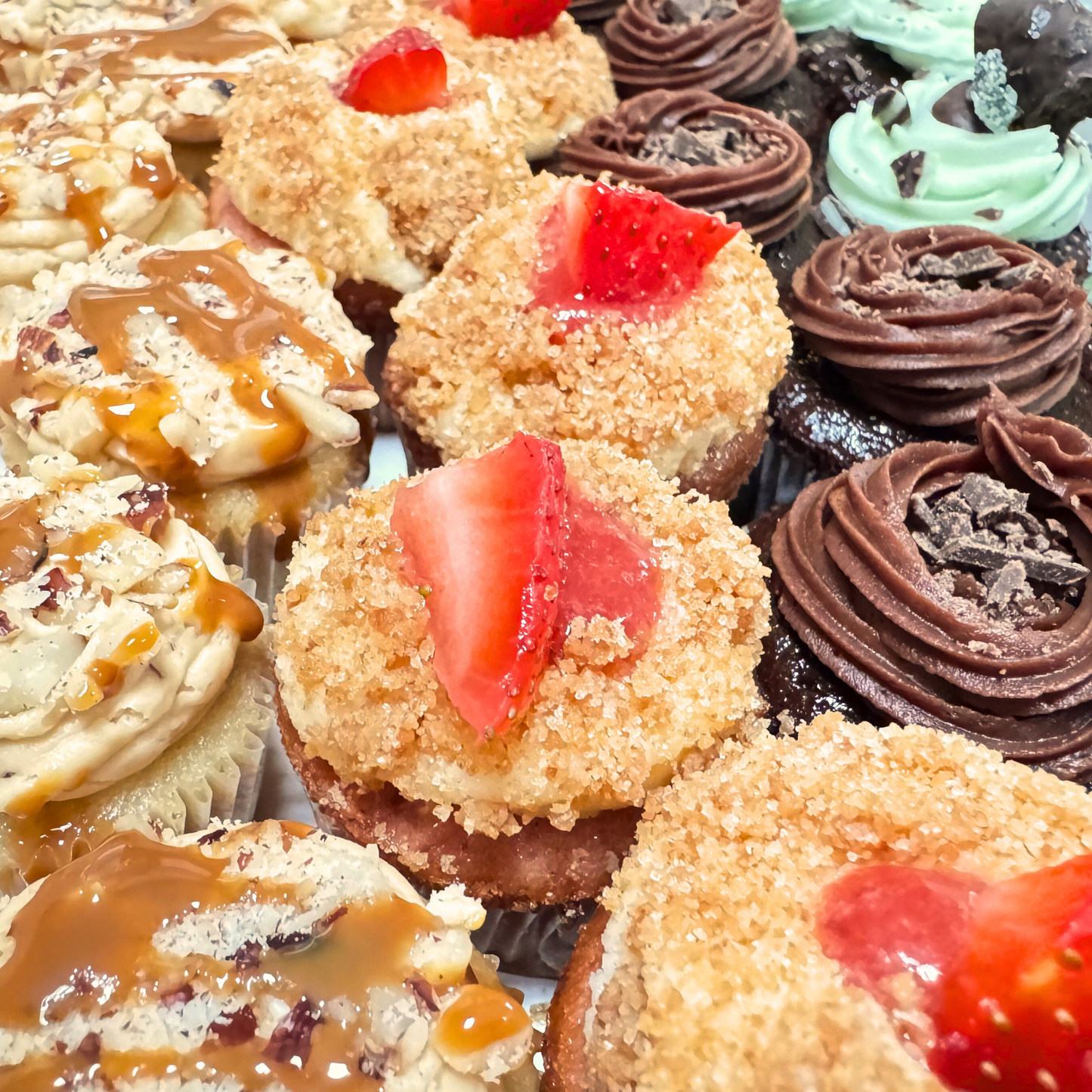 24 Count Mini Cupcakes